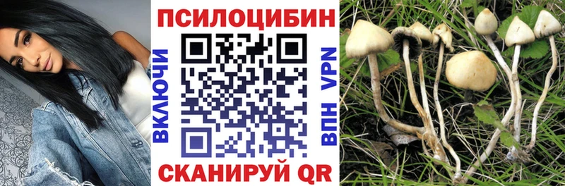 где купить наркотик  Соль-Илецк  Псилоцибиновые грибы ЛСД 